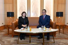 Milli Məclisin sədri Sahibə Qafarova Malayziyaya işgüzar səfərə gedib (FOTO)