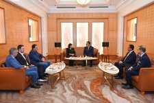 Milli Məclisin sədri Sahibə Qafarova Malayziyaya işgüzar səfərə gedib (FOTO)