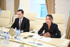 Əminə Ağazadə Yaponiyanın Azərbaycandakı fövqəladə və səlahiyyətli səfiri ilə görüşüb (FOTO)