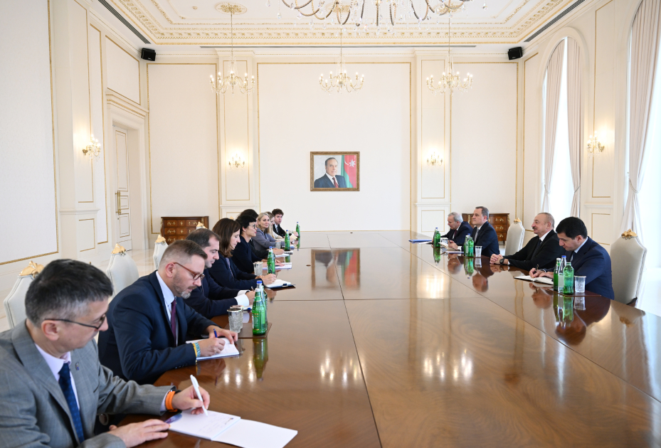 Prezident İlham Əliyev Avropa İttifaqının Genişlənmə üzrə komissarını qəbul edib (FOTO)