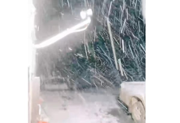 Laçının 3 kəndinə qar yağır (FOTO)