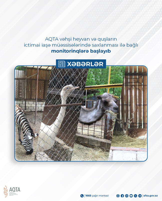 AQTA vəhşi heyvan və quşların ictimai iaşə müəssisələrində saxlanması ilə bağlı monitorinqlərə başlayıb