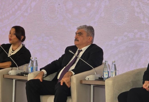 Ölkəmizə qoyulan hər bir sərmayə dostluq və dəstək mühitində qarşılanacaq - Samir Şərifov