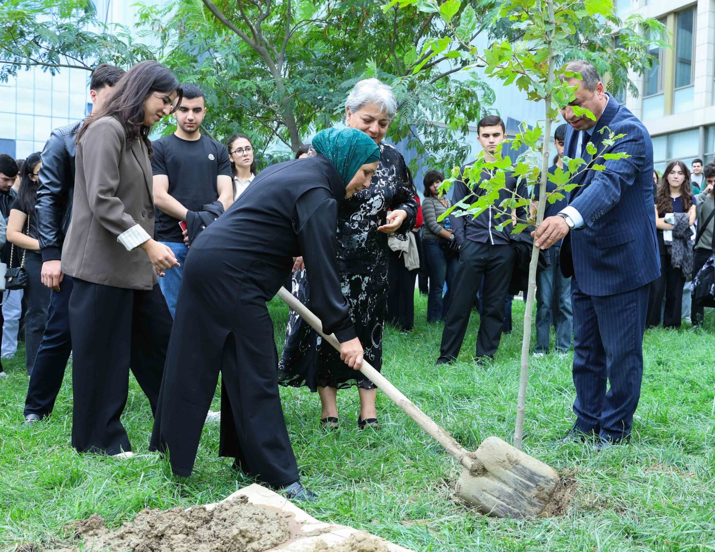 UNEC-də kök salan şəhidlər: Onların xatirəsi Xan çinarla əbədiləşdirildi (FOTO/VİDEO)