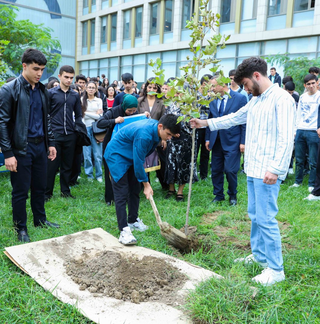 UNEC-də kök salan şəhidlər: Onların xatirəsi Xan çinarla əbədiləşdirildi (FOTO/VİDEO)