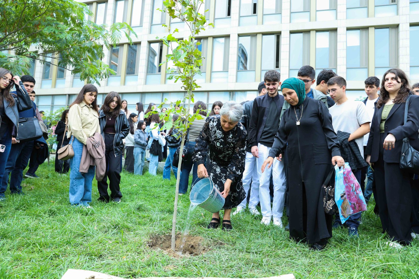 UNEC-də kök salan şəhidlər: Onların xatirəsi Xan çinarla əbədiləşdirildi (FOTO/VİDEO)