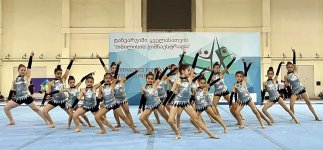 Gürcüstanın idman naziri Diaspor Komitəsində olub (FOTO)