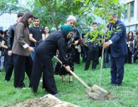 UNEC-də kök salan şəhidlər: Onların xatirəsi Xan çinarla əbədiləşdirildi (FOTO/VİDEO)