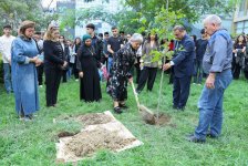 UNEC-də kök salan şəhidlər: Onların xatirəsi Xan çinarla əbədiləşdirildi (FOTO/VİDEO)