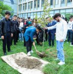 UNEC-də kök salan şəhidlər: Onların xatirəsi Xan çinarla əbədiləşdirildi (FOTO/VİDEO)