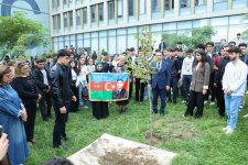 UNEC-də kök salan şəhidlər: Onların xatirəsi Xan çinarla əbədiləşdirildi (FOTO/VİDEO)