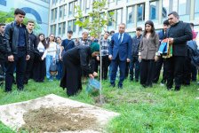 UNEC-də kök salan şəhidlər: Onların xatirəsi Xan çinarla əbədiləşdirildi (FOTO/VİDEO)