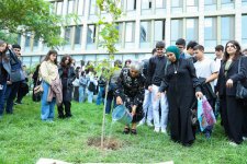 UNEC-də kök salan şəhidlər: Onların xatirəsi Xan çinarla əbədiləşdirildi (FOTO/VİDEO)
