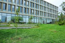 UNEC-də kök salan şəhidlər: Onların xatirəsi Xan çinarla əbədiləşdirildi (FOTO/VİDEO)