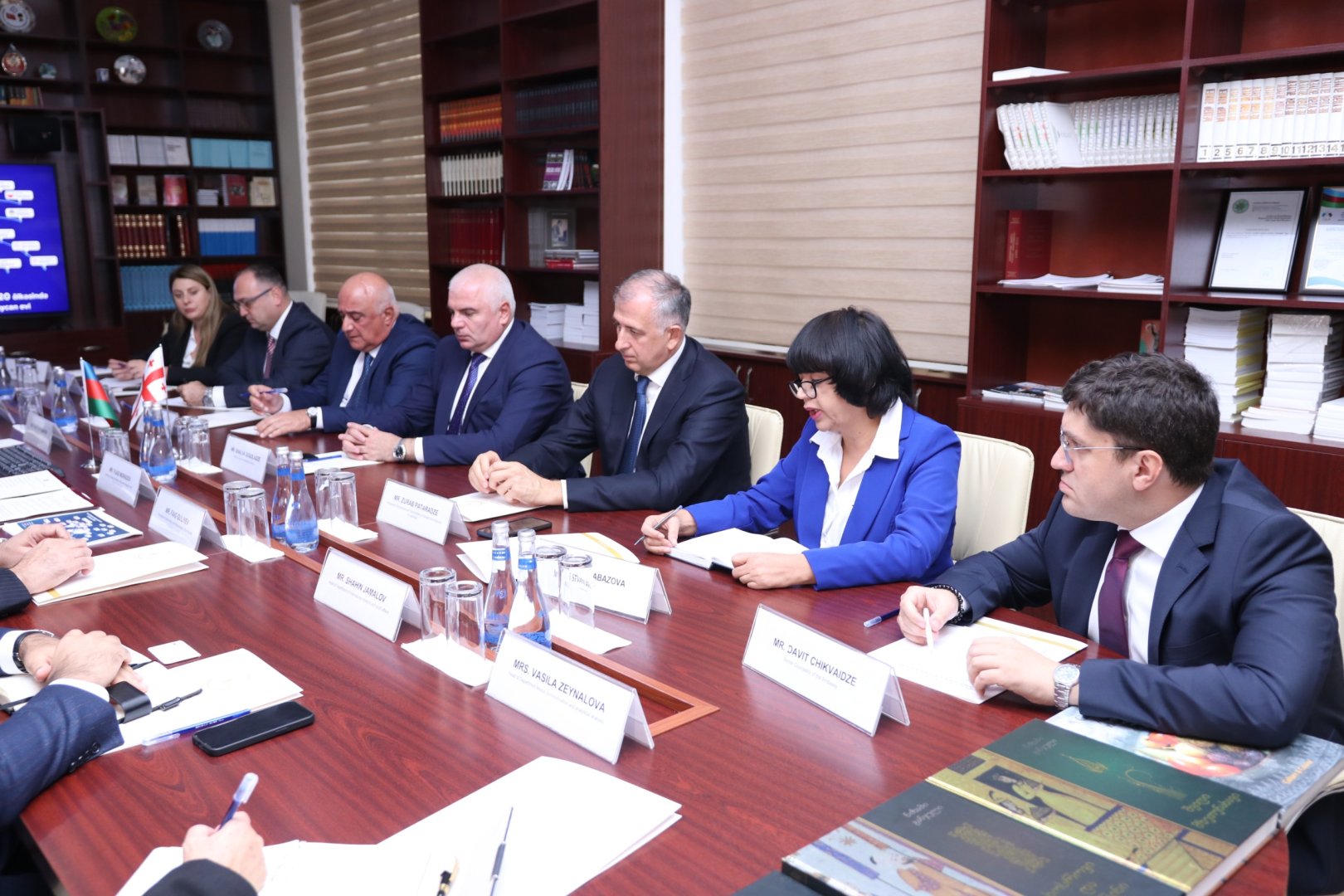 Gürcüstanın idman naziri Diaspor Komitəsində olub (FOTO)