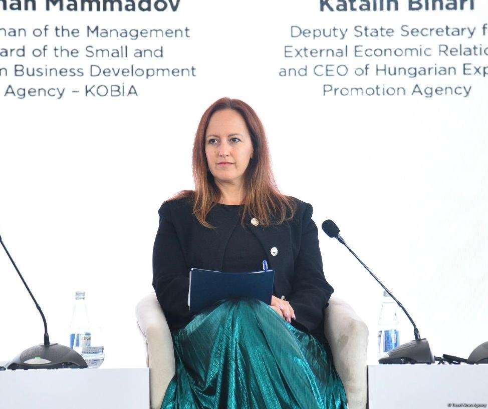Macarıstanın iqtisadi diplomatiyası və ixrac strategiyası Bakı Forumunda təqdim olundu