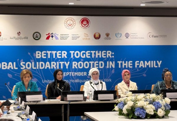 Dünya mürəkkəb və çoxşaxəli böhranlarla üz-üzədir - Bahar Muradova