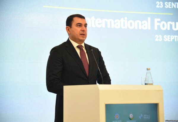 “Nəsimi” festivalı mədəniyyəti, ədəbiyyatı və insanın daxili mənəvi aləmini birləşdirən unikal hadisədir - Nazir