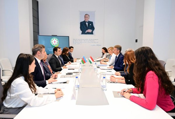 Azərbaycan ilə Macarıstan arasında mədəniyyət sahəsində əməkdaşlıq müzakirə olunub