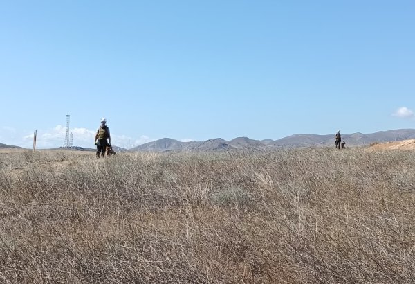 Ötən həftə ərzində 1225,1 hektar ərazi mina və PHS-lərdən təmizlənib