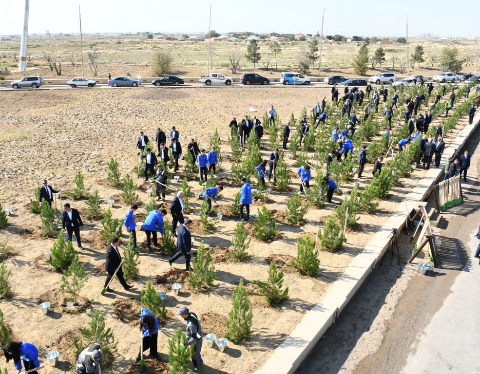 Bakıda növbəti ağacəkmə aksiyası keçirilib (FOTO)