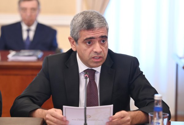 Əlillik qiymətləndirilməsində süni intellekt tətbiq olunacaq - Anar əliyev