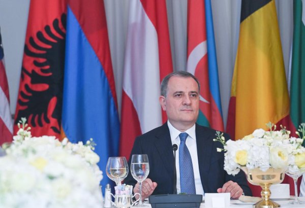 Azərbaycan XİN rəhbəri ABŞ dövlət katibinin təşkil etdiyi tədbirə qatılıb (FOTO)