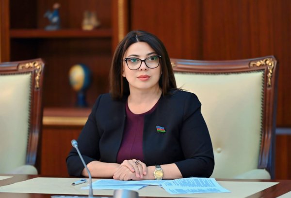 Prezident İlham Əliyevin Nyu-Yorka səfəri Azərbaycanın qlobal çağırışlara töhfə verməsi baxımından əhəmiyyətlidir - Deputat