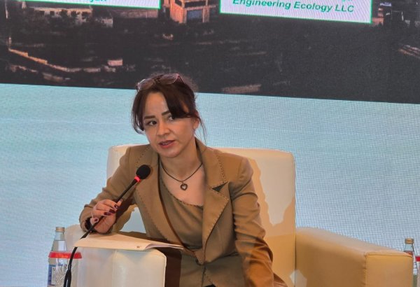 Azərbaycanda hibrid və elektrik avtomobillərin sayı 20-30 dəfə artıb