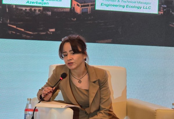 Azərbaycan "yaşıl enerji" üzrə regional haba çevrilə bilər - IFC eksperti