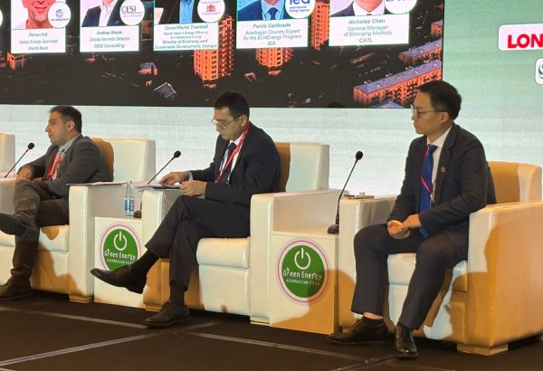 Bazar islahatları və subsidiyaların aradan qaldırılması Azərbaycanın "yaşıl" keçidinin açarı olacaq - "EU4Energy" eksperti