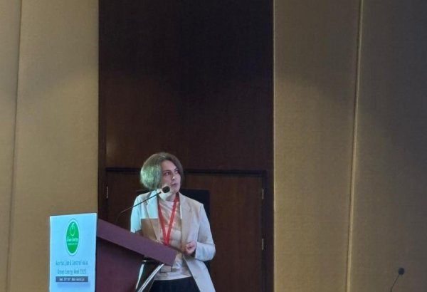 Azərbaycan Naxçıvanda və işğaldan azad edilmiş ərazilərdə bərpaolunan enerji layihələrini genişləndirir