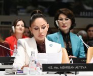 Birinci xanım Mehriban Əliyeva BMT Baş Assambleyası çərçivəsində xüsusi sessiyada iştirak edib (FOTO)