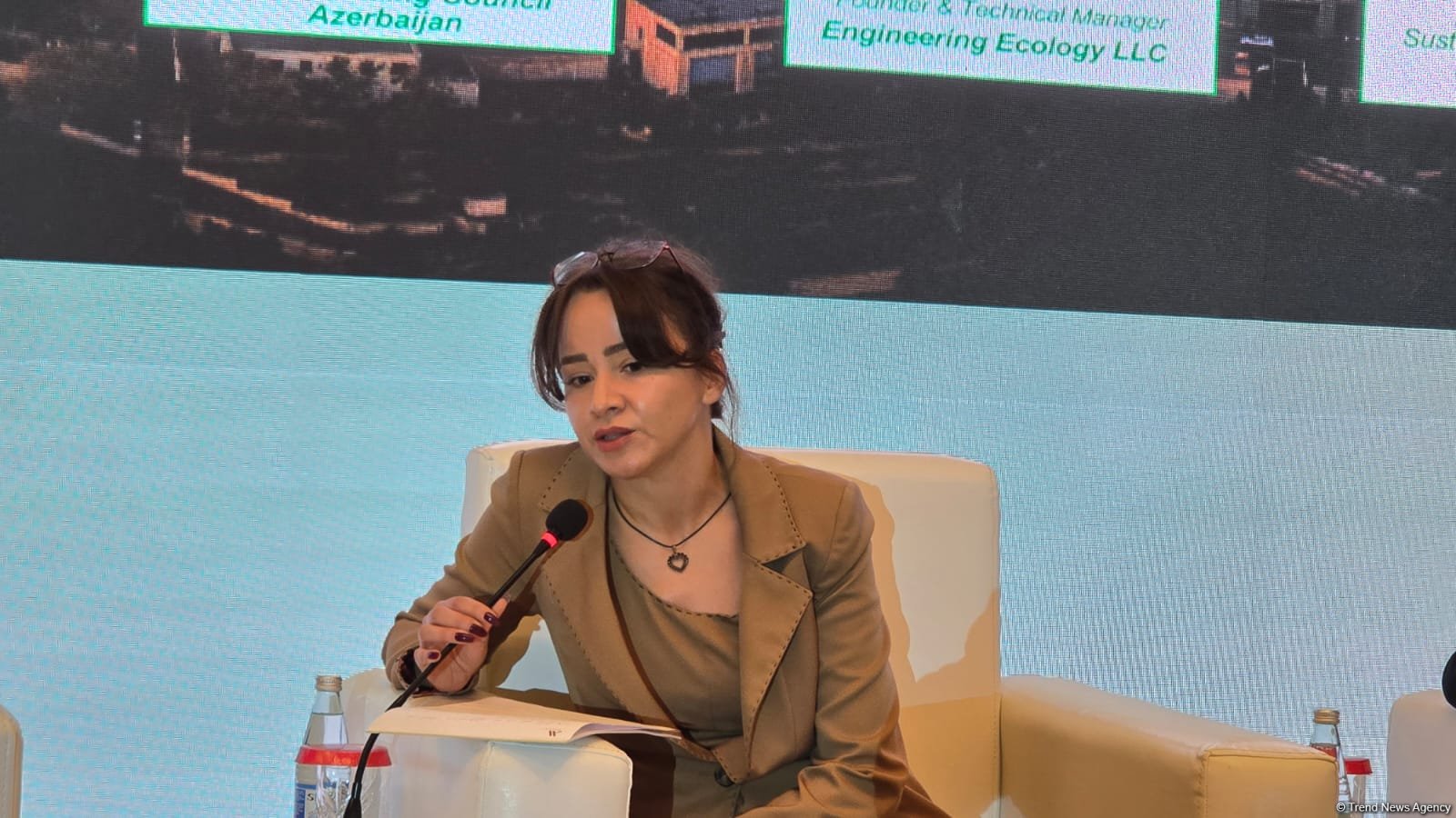 Azərbaycan "yaşıl enerji" üzrə regional haba çevrilə bilər - IFC eksperti