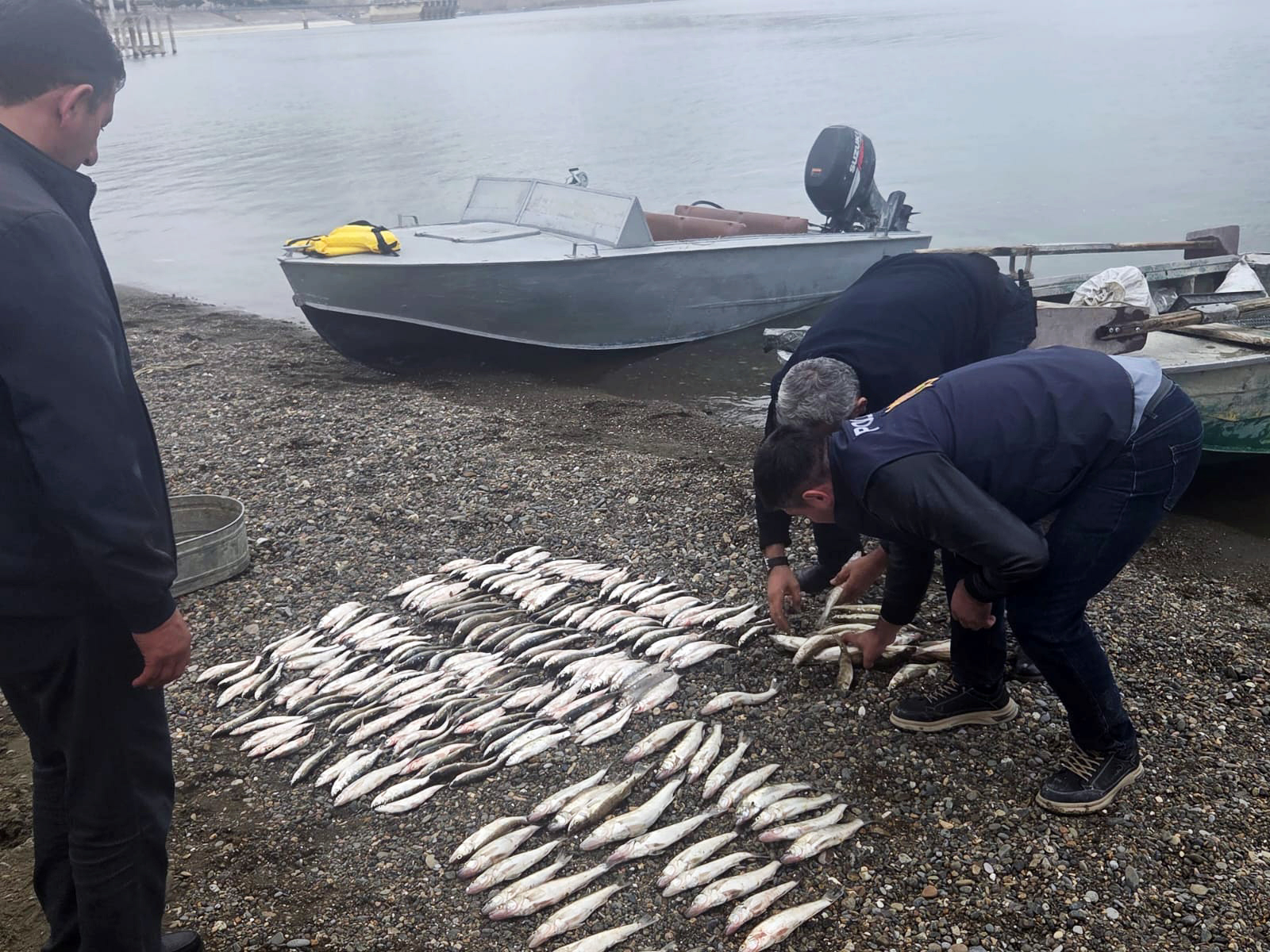 Mingəçevir su anbarı və Kür çayında qanunsuz balıq ovu faktları aşkarlanıb (FOTO)