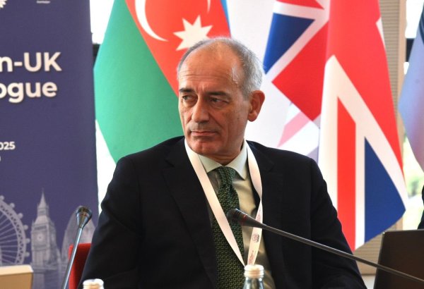 250-dən çox Britaniya şirkəti Azərbaycanda bp ilə müqavilələr bağlayıb - Endryu Menner