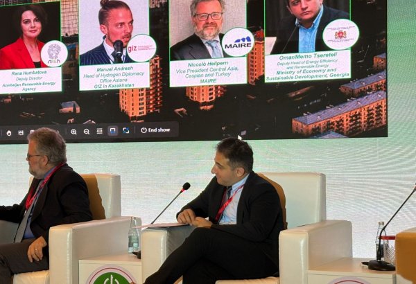 Gürcüstanda "yaşıl" hidrogen üzrə strategiya və yol xəritəsi hazırlanır