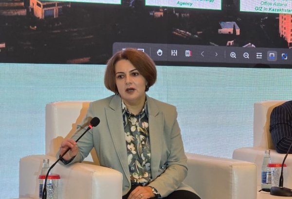 AYİB-in dəstəyi ilə Azərbaycanda hidrogen enerjisi strategiyası üzrə tenderə 13 şirkət qatılıb