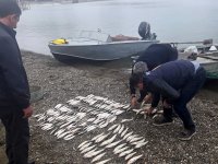 Mingəçevir su anbarı və Kür çayında qanunsuz balıq ovu faktları aşkarlanıb (FOTO)