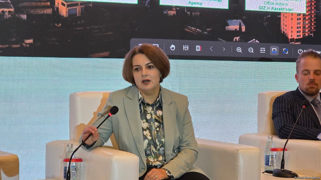 AYİB-in dəstəyi ilə Azərbaycanda hidrogen enerjisi strategiyası üzrə tenderə 13 şirkət qatılıb