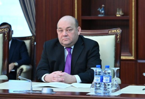 “Zayed İnsan Qardaşlığı Mükafatı” Prezident İlham Əliyevin sülh siyasətinə verilən yüksək qlobal qiymətdir