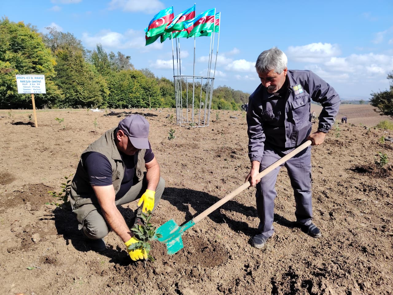 Anım Günü ilə əlaqədar meşə fondu ərazilərində ağacəkmə aksiyaları keçirilib (FOTO)