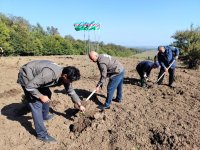 Anım Günü ilə əlaqədar meşə fondu ərazilərində ağacəkmə aksiyaları keçirilib (FOTO)