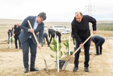 ETSN kollektivi şəhidlərin əziz xatirəsini yad edib (FOTO)