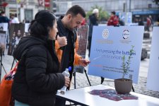 Münhenin mərkəzi meydanında Azərbaycanın mina qurbanlarına dair fotosərgi açılıb (FOTO)