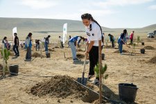 Azərbaycan Könüllü Təşkilatları İttifaqı tərəfindən 27 Sentyabr – Anım Gününə həsr olunmuş kütləvi silsilə tədbirlər həyata keçirilib (FOTO)
