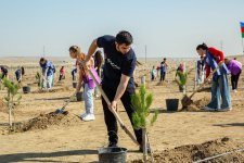 Azərbaycan Könüllü Təşkilatları İttifaqı tərəfindən 27 Sentyabr – Anım Gününə həsr olunmuş kütləvi silsilə tədbirlər həyata keçirilib (FOTO)