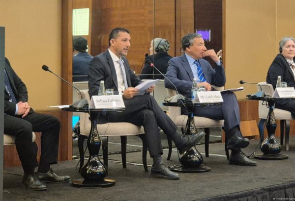 Şimali Kipr TDT-nin logistika və enerji mərkəzinə çevrilə bilər - Lətif Akça