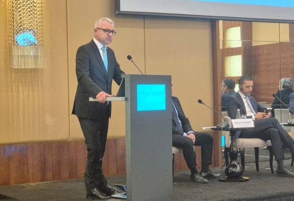 Orta Dəhliz Türk dövlətlərinin iqtisadiyyatını, mədəniyyətini və strategiyasını birləşdirir - Macarıstandan baxış