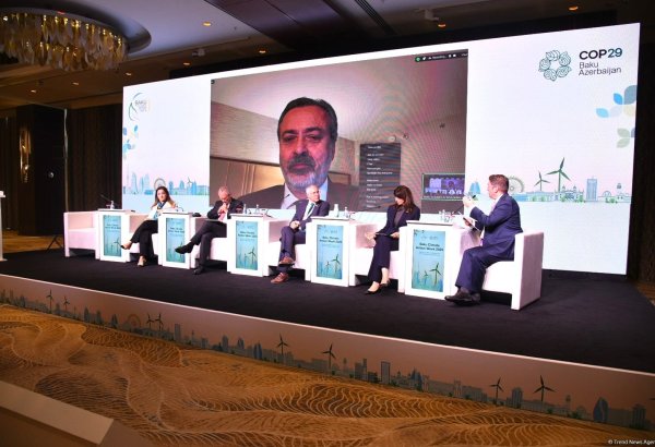 Bakıda İqlim Fəaliyyəti Həftəsi keçirilib (FOTO) (YENİLƏNİB)